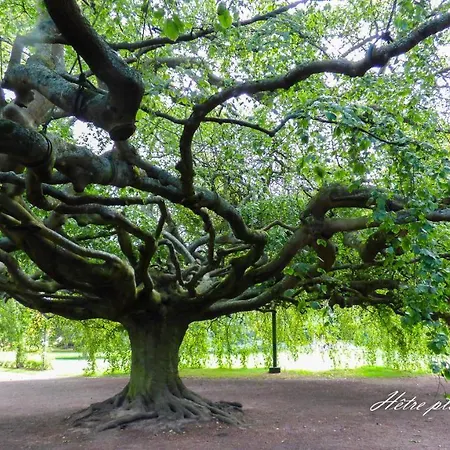Δωμάτια σε οικογενειακή κατοικία Pierre De Lune
