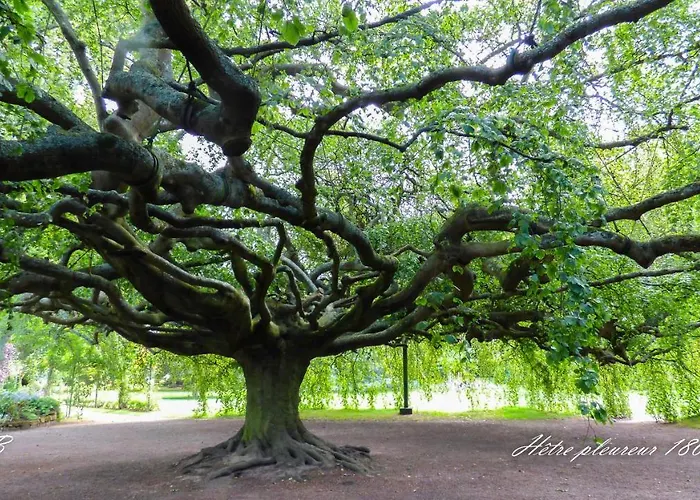 Kwatera prywatna Pierre De Lune